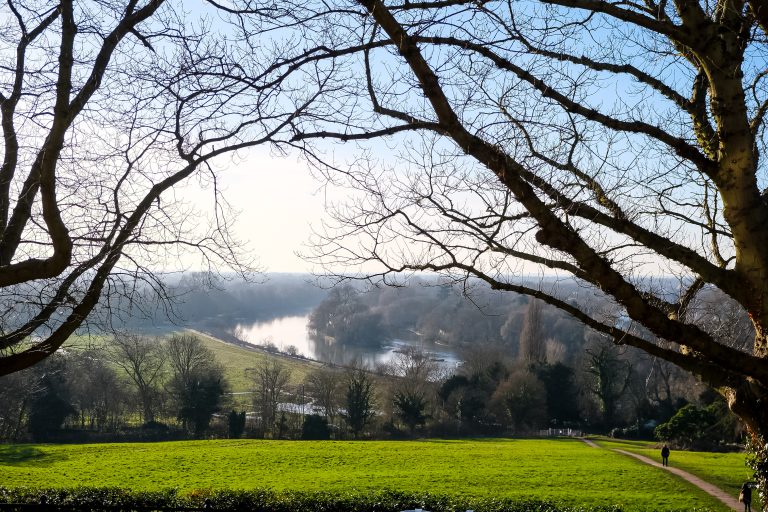 richmond-terrace-field-pathway-down-from-richmond-2026-01-06-09-34-17-utc
