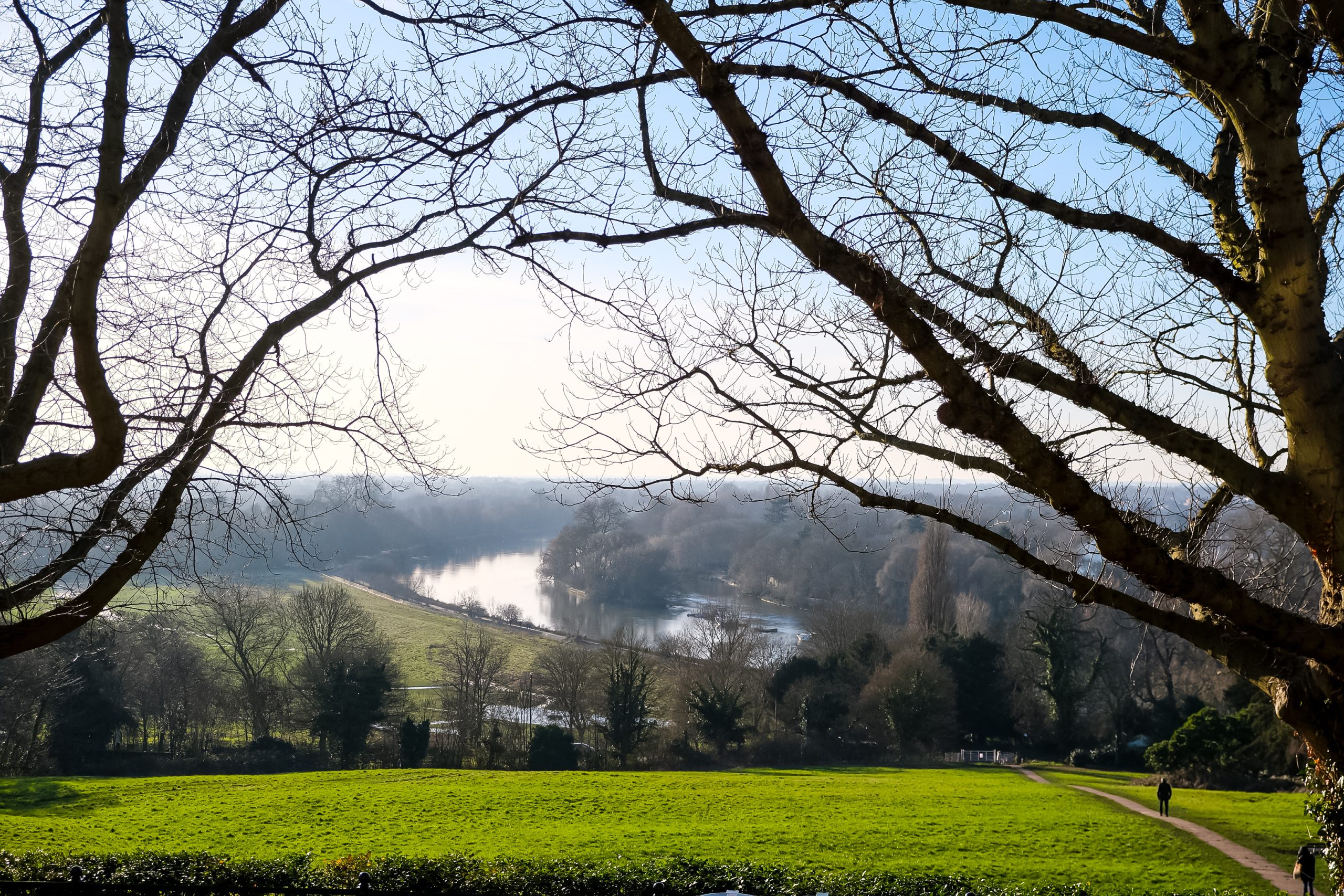 richmond-terrace-field-pathway-down-from-richmond-2026-01-06-09-34-17-utc