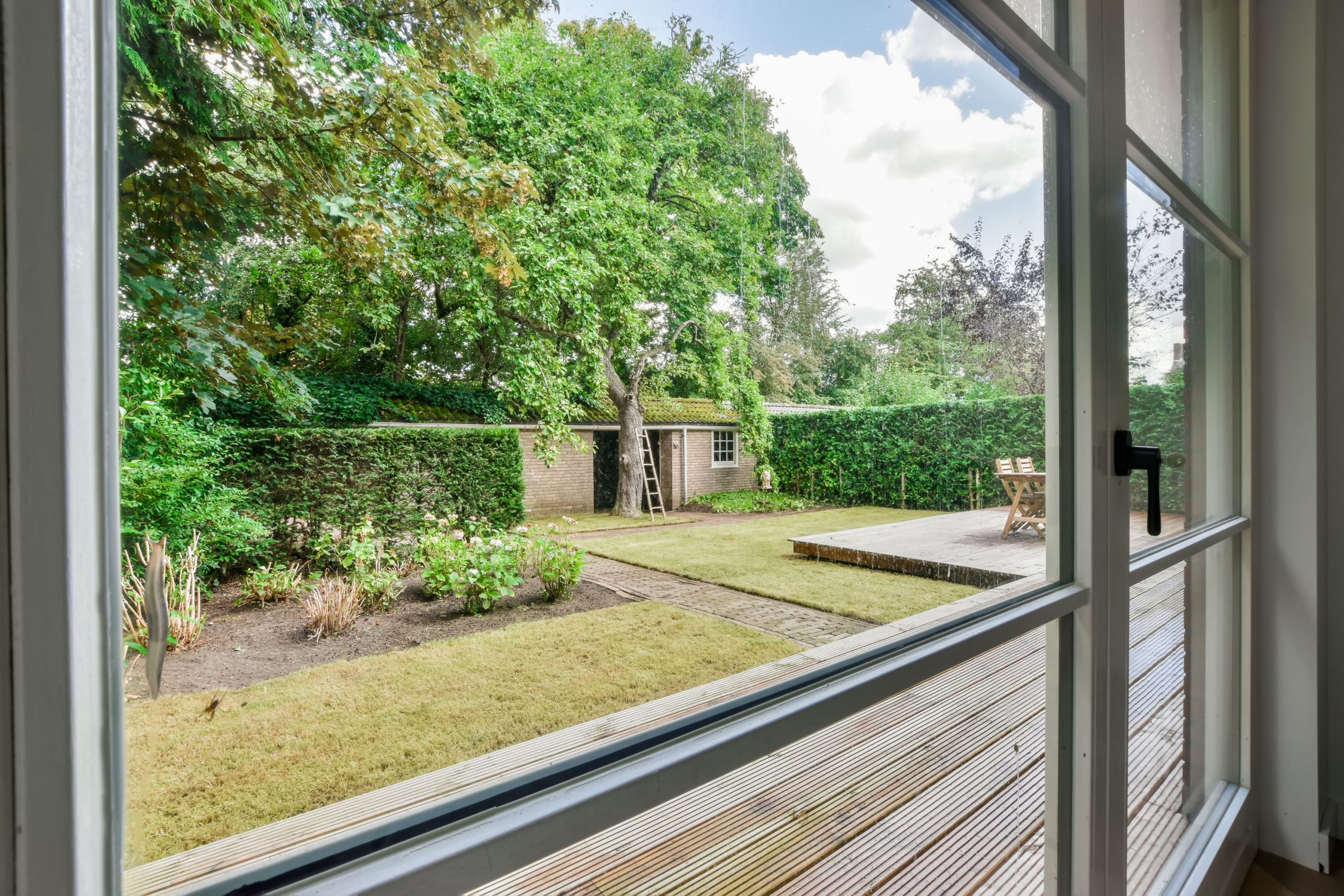 view-from-the-window-to-the-backyard-2025-02-10-05-36-10-utc